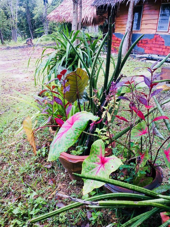 Baan Jing Jai Homestay Resort Lanta 란타섬 외부 사진