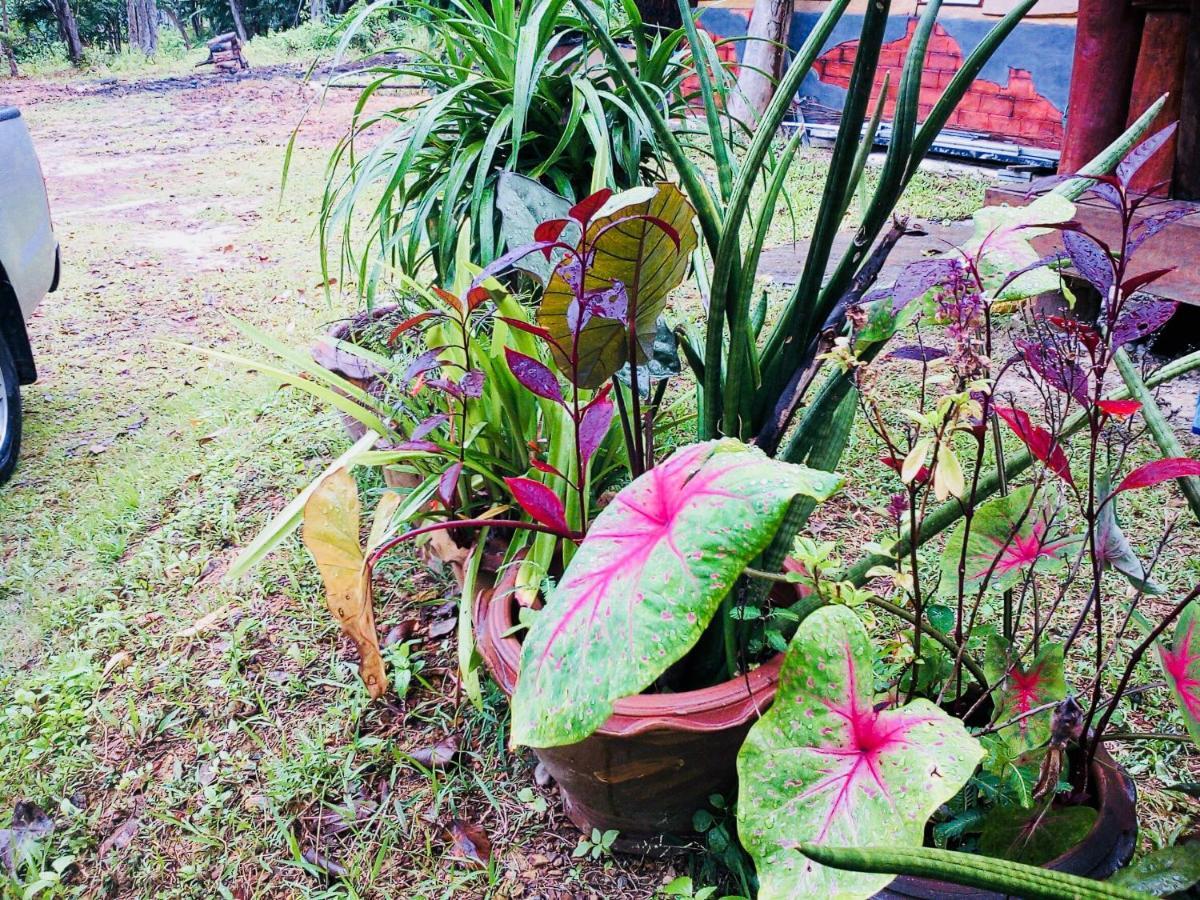 Baan Jing Jai Homestay Resort Lanta 란타섬 외부 사진